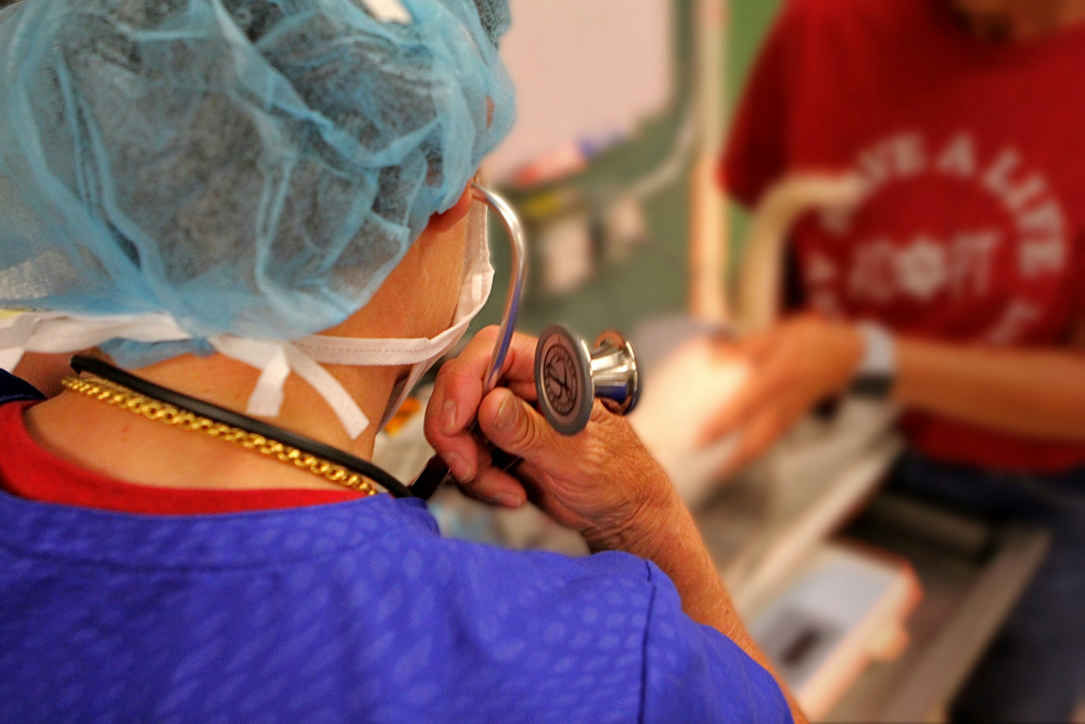 medical assistant certification online
